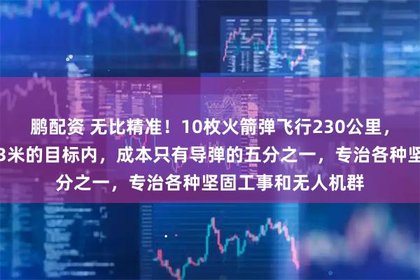 鹏配资 无比精准！10枚火箭弹飞行230公里，打入台南海域半径3米的目标内，成本只有导弹的五分之一，专治各种坚固工事和无人机群