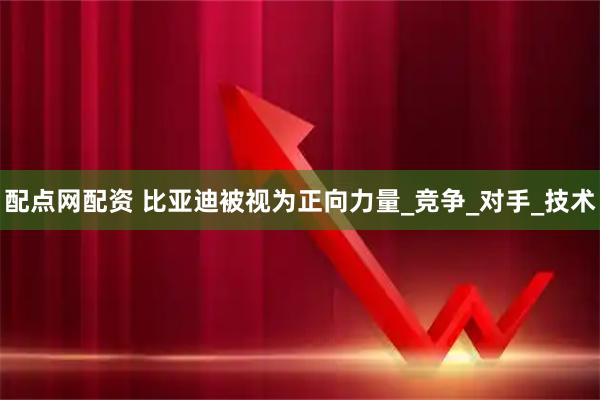 配点网配资 比亚迪被视为正向力量_竞争_对手_技术