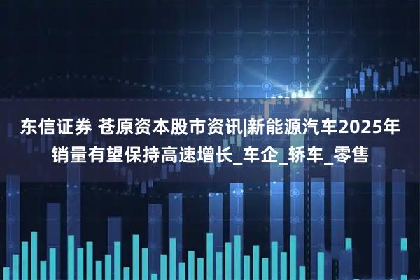 东信证券 苍原资本股市资讯|新能源汽车2025年销量有望保持高速增长_车企_轿车_零售