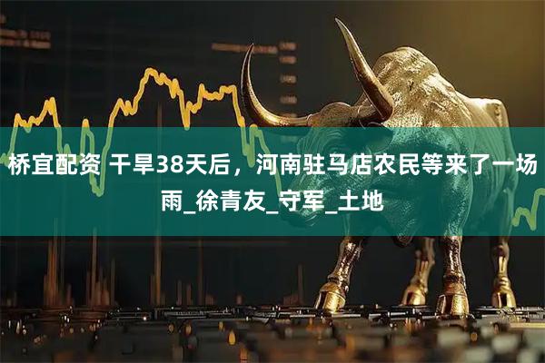 桥宜配资 干旱38天后，河南驻马店农民等来了一场雨_徐青友_守军_土地